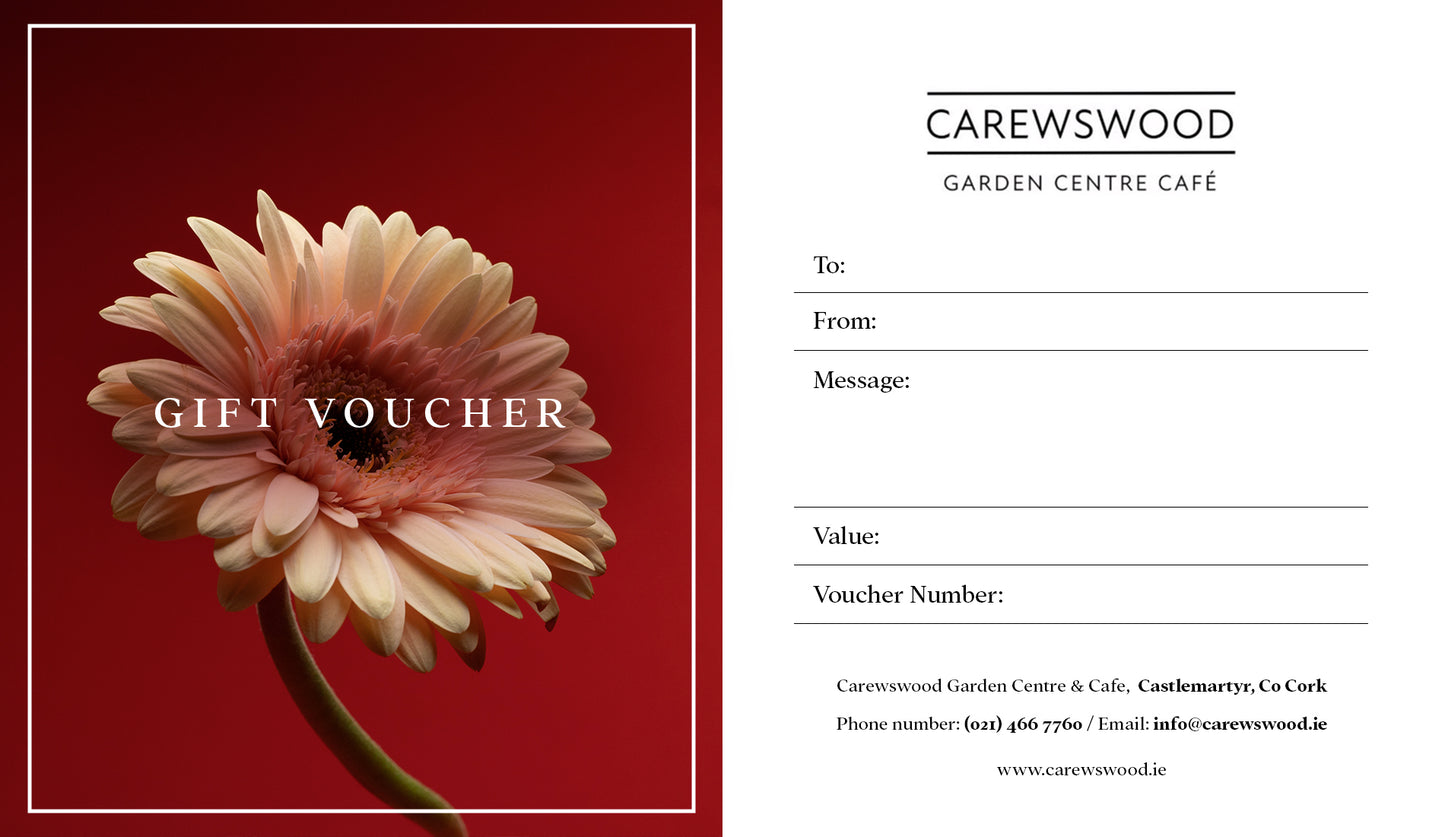 Gift Voucher