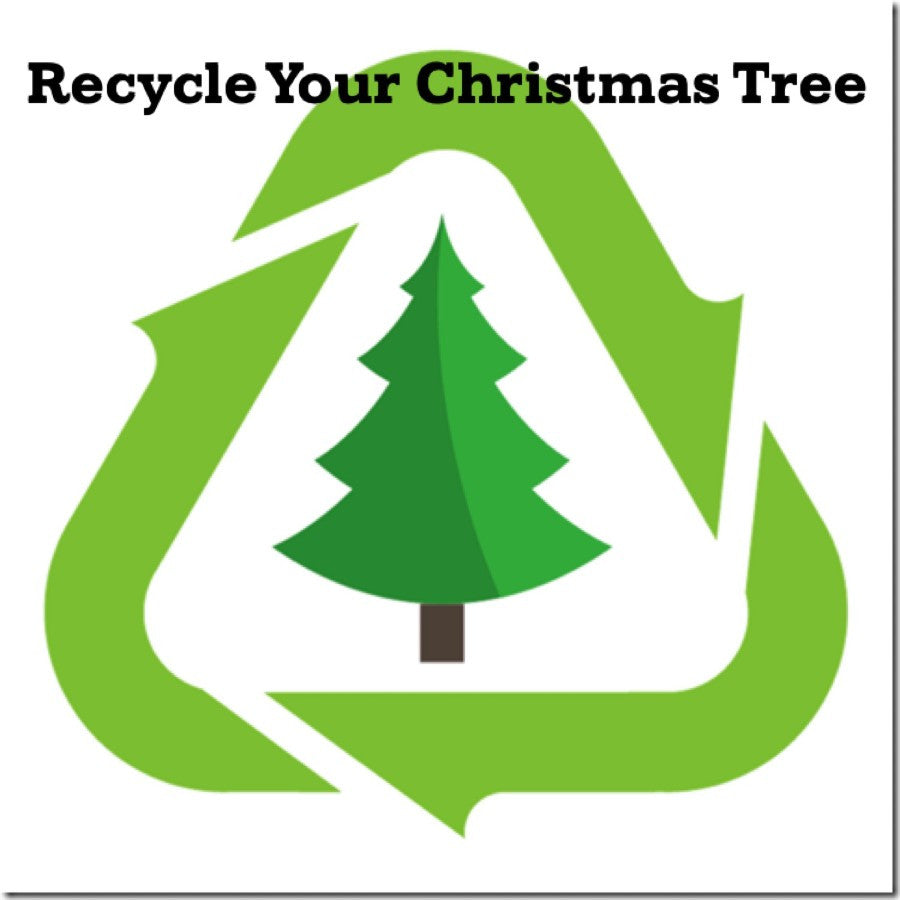 Tree Collection & Recycle
